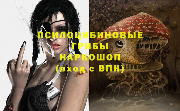 прущий лед Магас