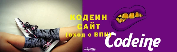 прущий лед Магас